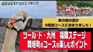 【マイナビツール･ド・九州2024・福岡コース・岡垣町】《サイクリングレースを楽しむポイント》