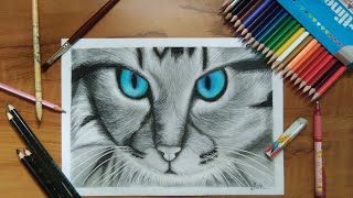 realistic cat drawing #Shorts #catdrawing #pencilsketch #Izza Arts