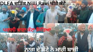 Dlfa ਚੜਿੱਕ ਮੇਲੇ ਵਿੱਚ ਖੀਰੇ ਕੱਟੇ Nilli Ravi ਨਸ਼ਲ ਦੇ ਮੁਕਾਬਲੇ ਵਿੱਚ ਕਿਹੜੇ ਆਏ 1,2,3 ਨੰਬਰਾ ਤੇ ।