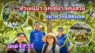 #กวินบินได้ EP.280 มันต้องแบบนี้ ลูกเขียวทรงสวย ไม่หลุดร่วงง่าย #เมเม่ EP.55