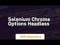 selenium chrome options headless