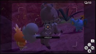 【New ポケモンスナップ】ルートスコア荒野(夜) 6,022,216点