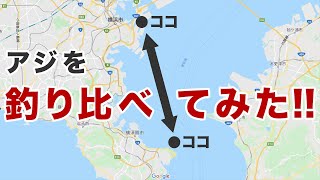 ベイブリッジアジと走水アジの釣り比べ！300万円のプレジャーボートでアジの釣り比べをやってみた！