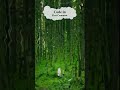 Water Ripples Background animation | jQuery Plugins Implementation