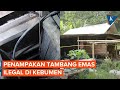 Bikin Geger, Ini Penampakan Tambang Emas Ilegal di Kebumen