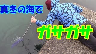 真冬の日本海でガサガサした結果・・・