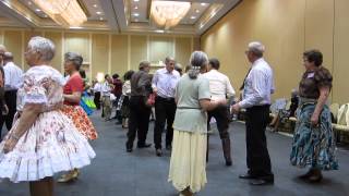 17 SCOT BYARS CALLS SQUARE DANCE AT WASCA 2014