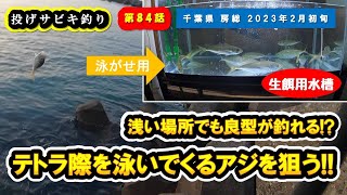 【千葉県 房総】浅くても釣れる!!テトラ際を泳いでくるアジを釣る!!『投げサビキ釣り/アジ』