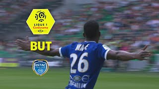 But Adama NIANE (8') / AS Saint-Etienne - ESTAC Troyes (2-1)  (ASSE-ESTAC)/ 2017-18