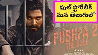Pushpa 2 Full Story Leak In Telugu | Pushpa 2 | Pushpa 2 The Rule | NK Crazy Facts