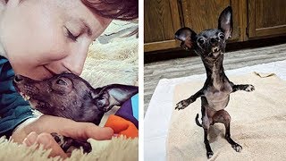 Rescuer Brought To Tears Meeting Deformed Dog, But Tiny Pup Thanks Her In Sweetest Way