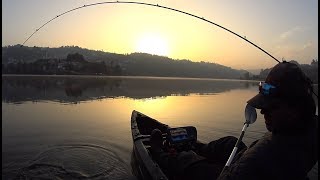 Uma pesca multi espécies com uma surpresa incrível - Multi species fishing