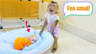 Pupu gives up his big bed to Poki Baby Monkey