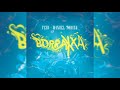 Feid, Manuel Turizo - Borraxxa (Letra/Audio Oficial)