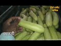 5 जानेवारी 2025 दुपारचे बाजार भाव नाशिक मार्केट vegetables market nashik bajar bhav today