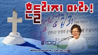 이채옥 목사 - 흔들리지 마라!