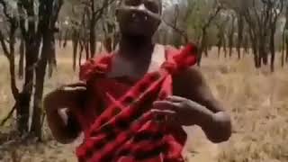 Masai mbea