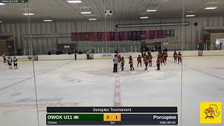 OWGK U11 @ Porcupine (2025.01.17)