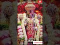 ముక్కోటి ఏకాదశి శుభాకాంక్షలు🙏🙏 venkateswara swamy today video shorts youtubeshorts viral