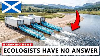 Scotland Released 150,000 Salmon Into a Dying River — Here's What Happened