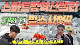 스마트팜혁신밸리 지원할때 가장 궁금했던 것! 속 시원하게 알려드립니다!