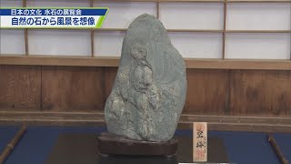 何に見える？阿波の水石展【テレビトクシマ】