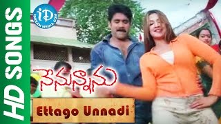 Ettago Unnadi Video Song - Nenunnanu Movie || Nagarjuna || Arti Agarwal || MM Keeravani