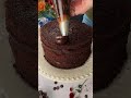 let’s make the ultimate matilda chocolate cake