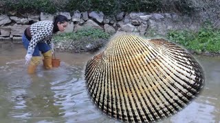 Both ancient pearls and green pearls are extracted from mussels