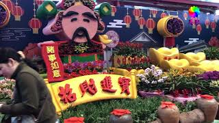 2019 2 6 彰化溪州公園 花在彰化 花好月圆 豬事如意 HD