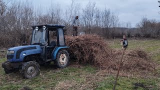 1.02.2025.Як високо косити осінню малину,на зиму.Коли можна пересаджувати малину.