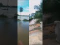 Banjir bandang area persawahan rata terendam air/Blang Mangat/lhokseumawe