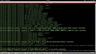 9. Discovering SQL Injections & Extracting Data Using SQLmap