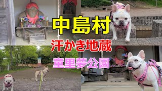 【中島村】french bulldog 童里夢公園～汗かき地蔵‼フレンチブルドッグの親子‼