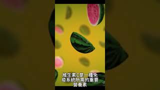 維生素 礦物質   西瓜：富含維生素 礦物質，助維護整體健康！富含 礦物質  西瓜 好處  3