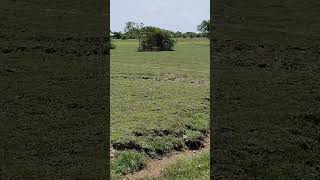 #Low Budget Agriculture Land 6 Acres For Sale Near Tindivanam | 9150007976