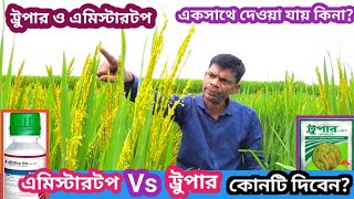 ধানে এমিস্টারটপ Vs ট্রুপার কোনটি দিবেন? |