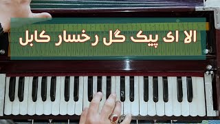 دلم بسیار تنگ است مسافر دارم آخر | Dilam besyar tang as | afghani song - آهنگ ناب افغانی( Harmonium)