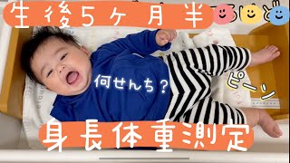 【5ヶ月半】男の子赤ちゃんの身長体重測定