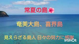 喜界島は珊瑚化石が見られる珍しい島🌺  島人の海に対する熱い思い  ビーチクリーンしてくれた観光客の皆さん ありがっさまりょ～た🙇‍♀️