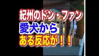 紀州のドン・ファン 野崎幸助氏 愛犬イブから覚せい剤反応　殺人事件の可能性が強くなる。ネットの反応