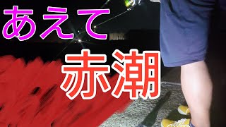 【大阪 赤潮で夜釣り】あえて、「赤潮」絶賛発生中に流し釣りしたら、釣れる？釣れない？