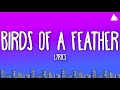 Billie Eilish - BIRDS OF A FEATHER (Lyrics)