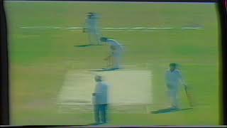 Pakistan vs Australia 1987 World Cup Semi Final. Last 6 Overs Ball By Ball of Australia Innings