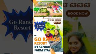 GO RANCH RESORT THE BEST PLACE TO CHILLOUT 9133636363 @Sandalwood_Farm_Stay full video link 👆🏻