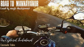 മാജിക്‌ മഷ്‌റൂം  കണ്ടിട്ടുണ്ടോ? 😄 | Road To Mannavanur |Exploring Kodaikanal | Pasiflora Cafe