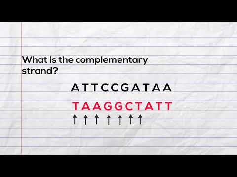 What is the complementary strand of DNA?