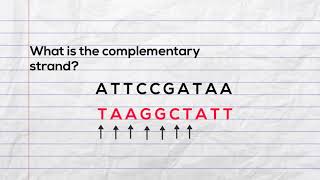 Practice writing the complementary strand of DNA and mRNA during transcription