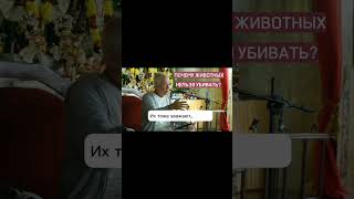 Почему животных нельзя убивать? - Александр Хакимов