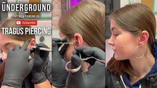 Tragus piercing | Ear piercing| Underground Tattoos Watford